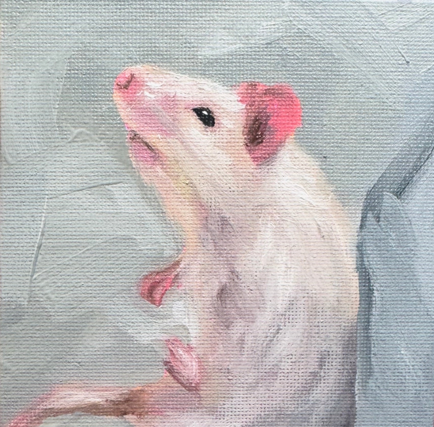 ‘Curious little rat’ print