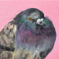 ‘The notorious P.I.G.’ Print