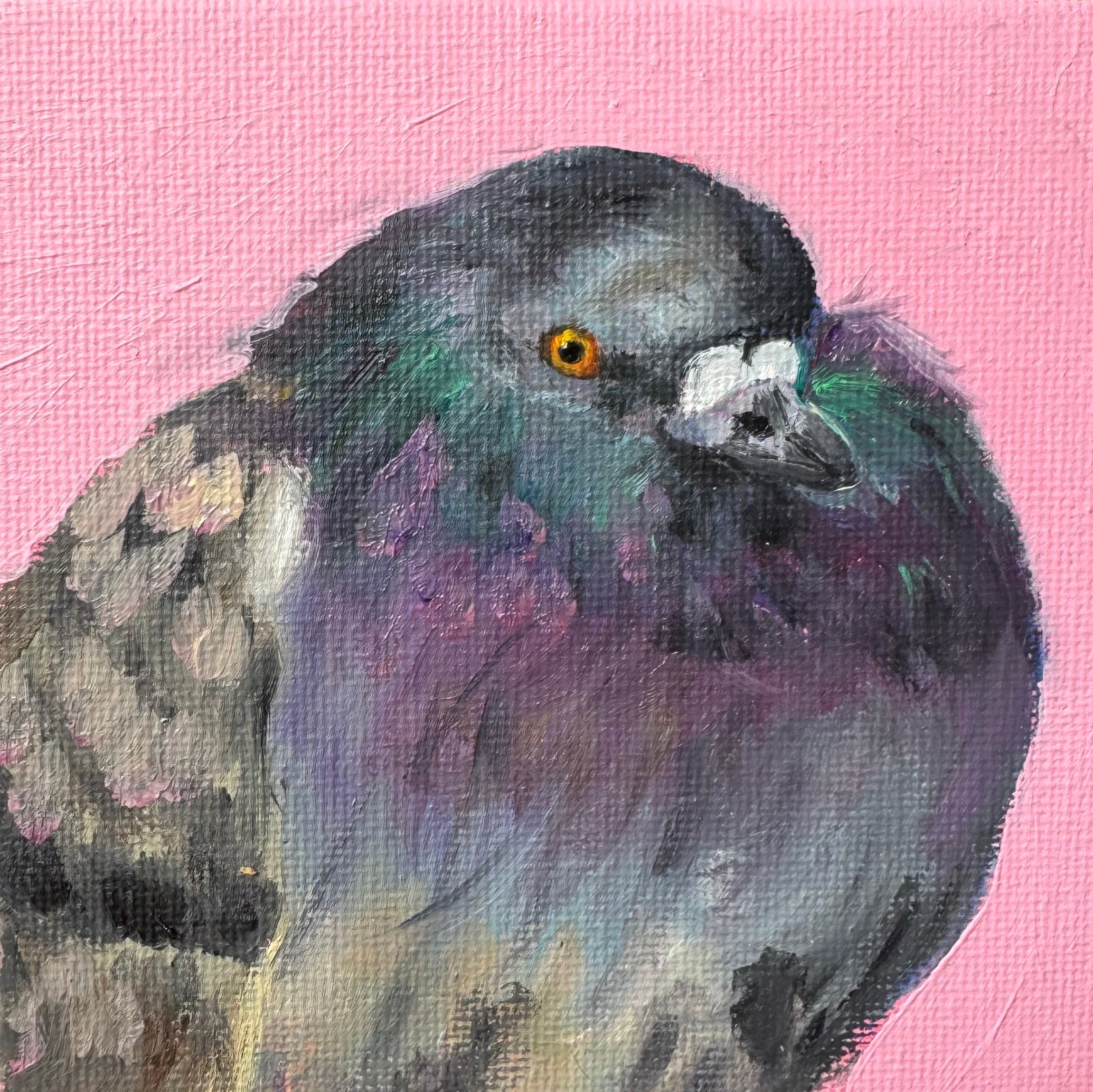 ‘The notorious P.I.G.’ Print