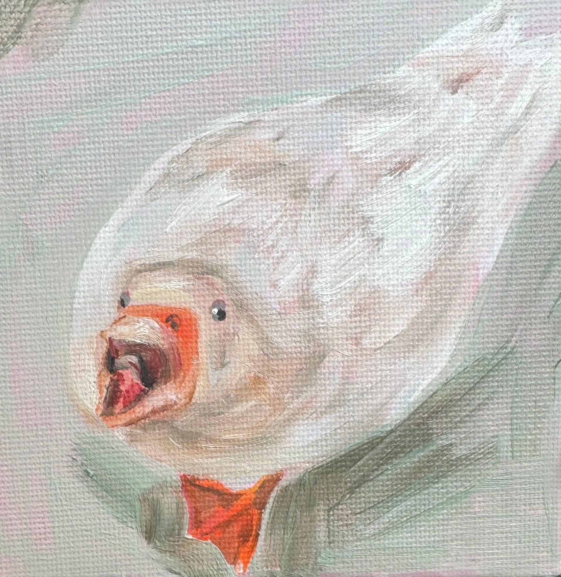‘Honk’ Print